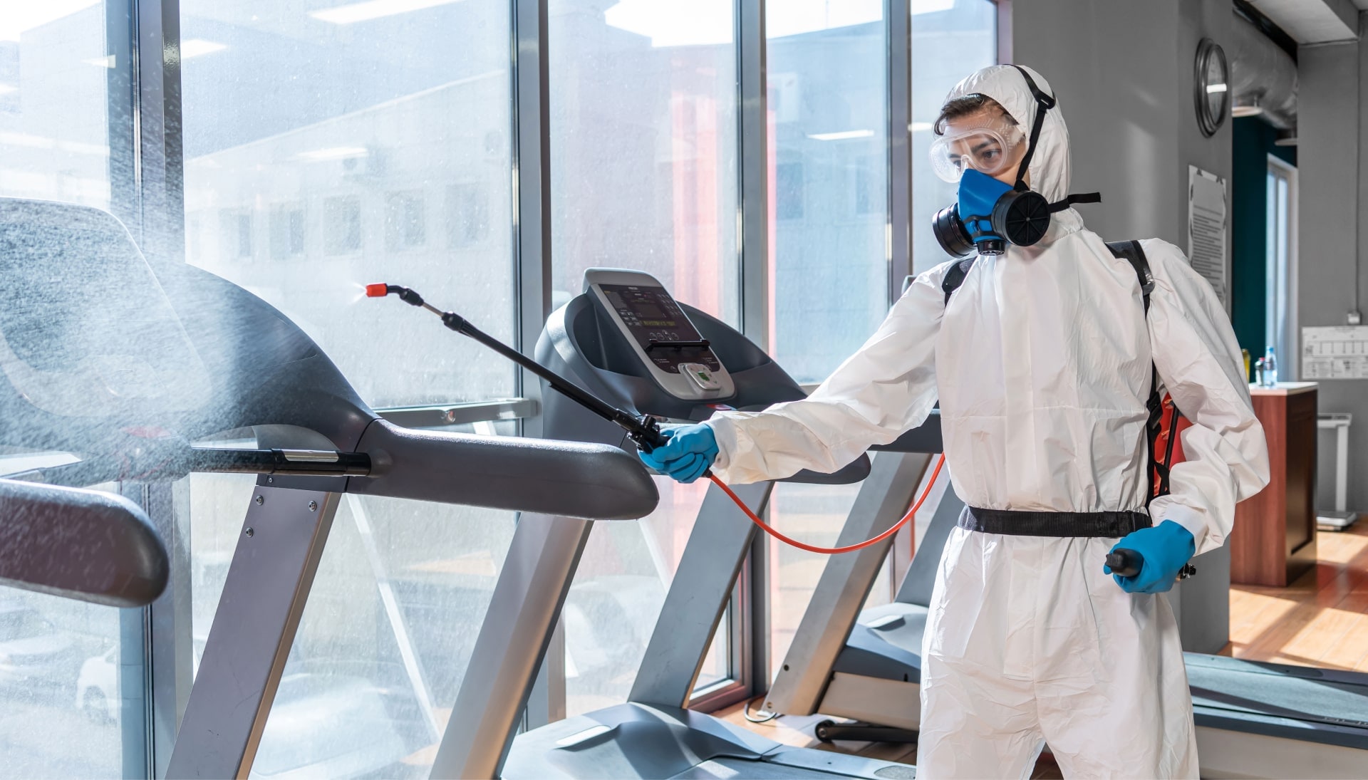 Commercial Mold Removal Services in Gainesville