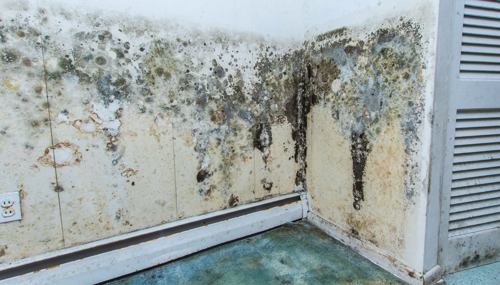 Mold Damage Odor Control Services in Gainesville