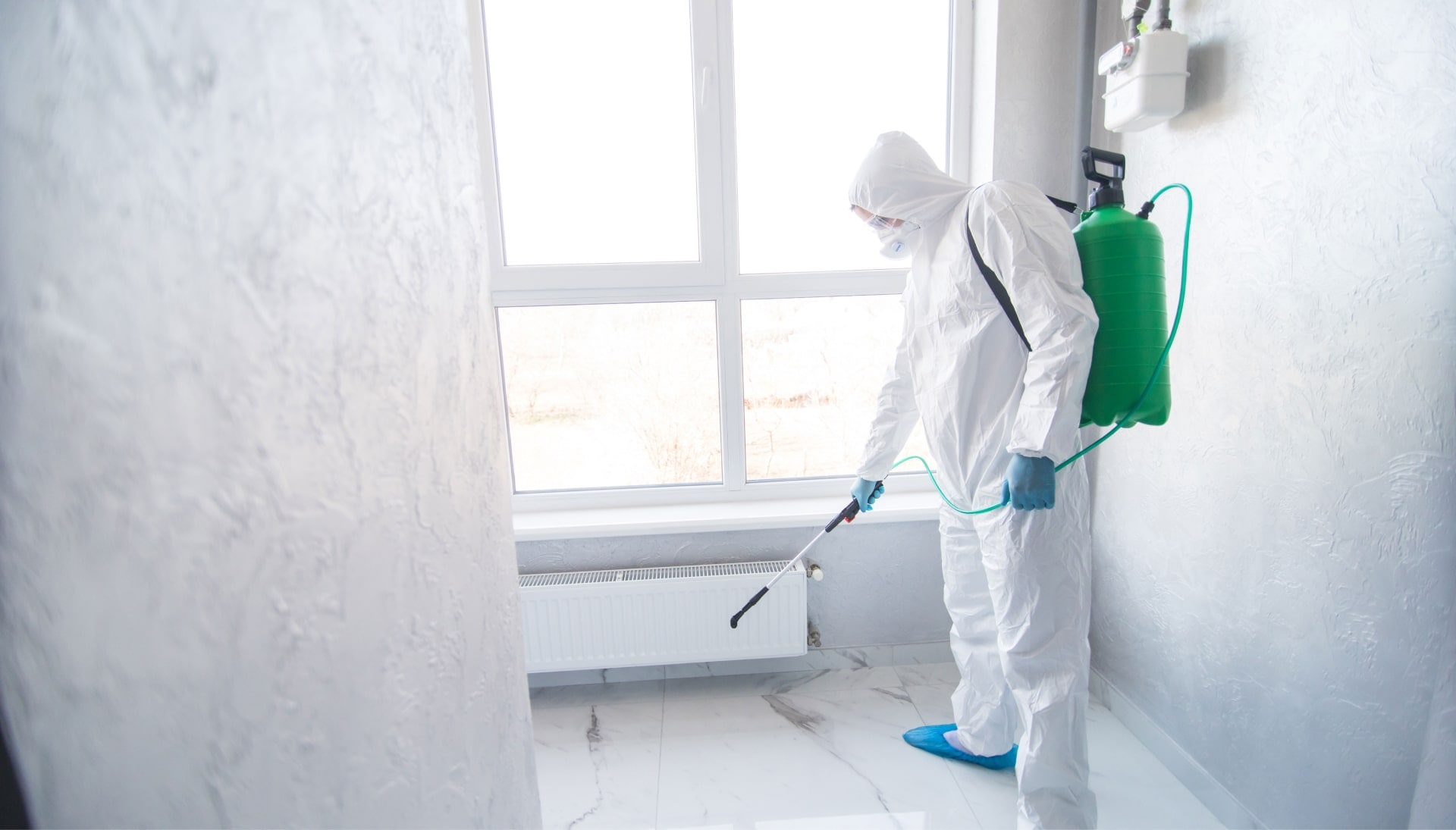 Mold Inspection Services in Gainesville